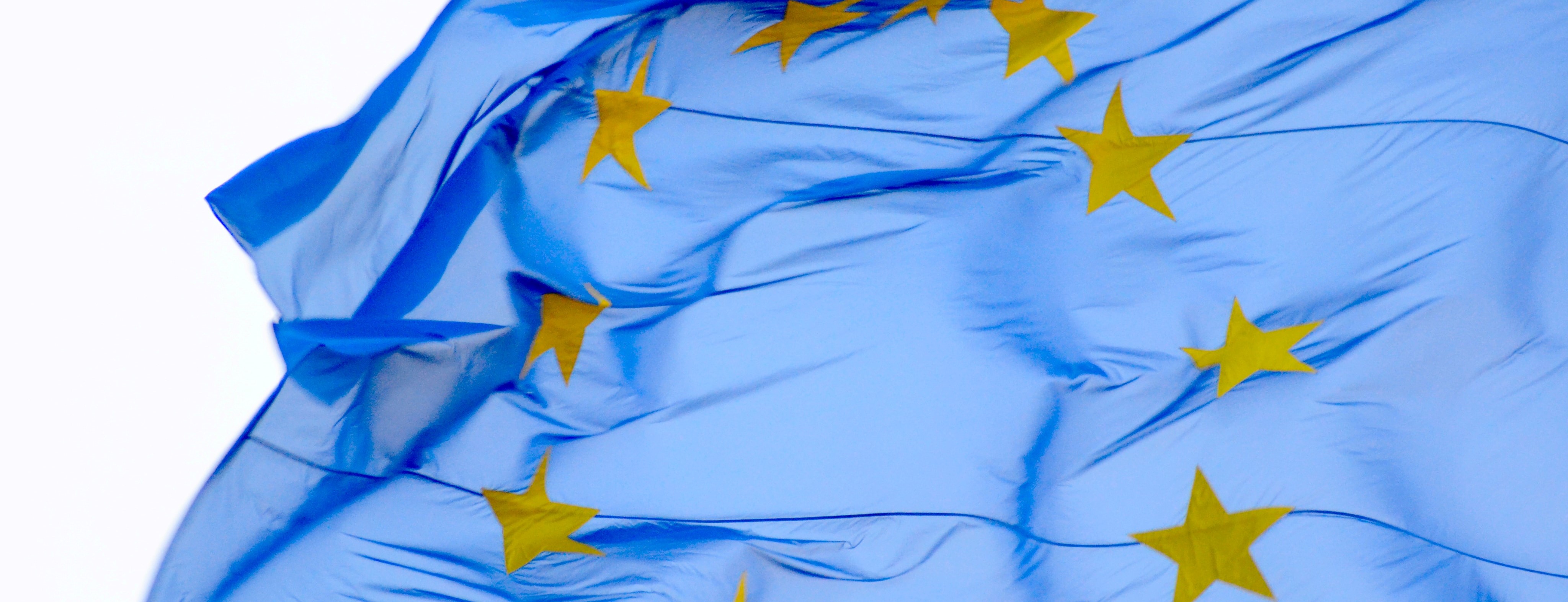 "What's hot" in AVRIO : l'actualité de notre réseau européen de cabinets d'avocats