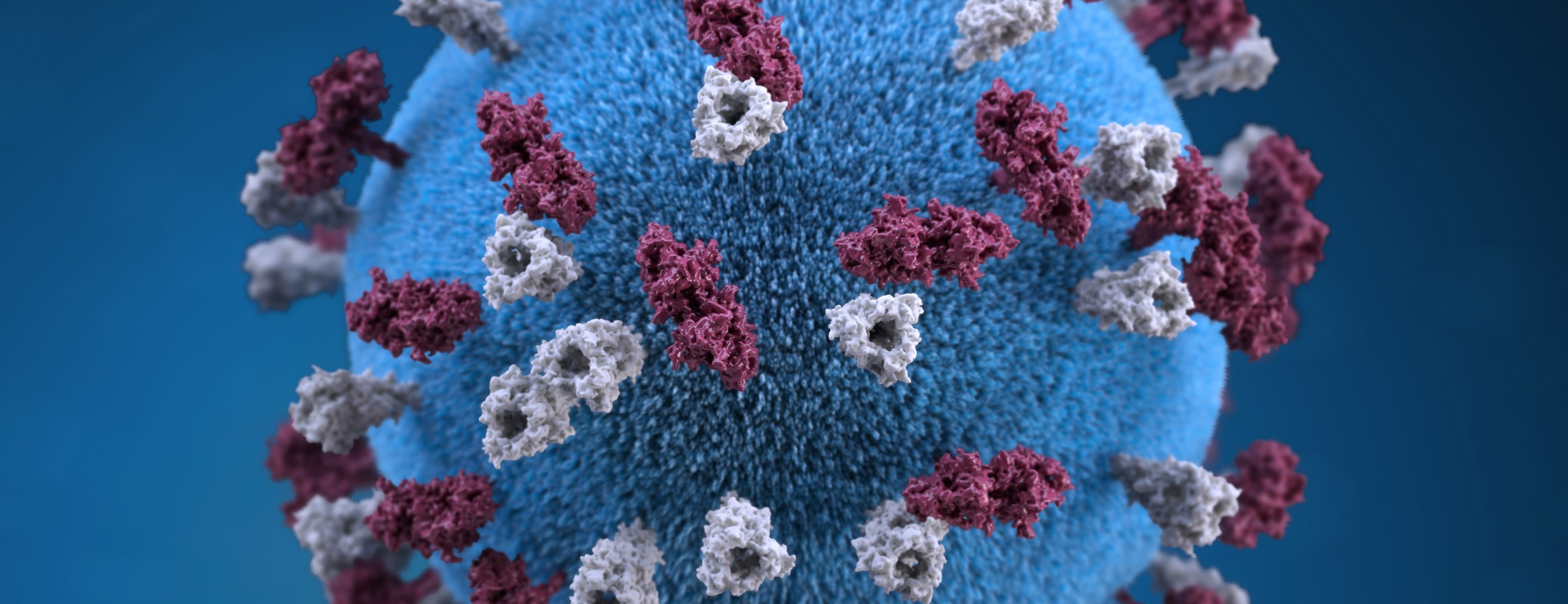 Santé au travail : Face au Coronavirus, quelles sont les droits et obligations des employeurs et des salariés ?