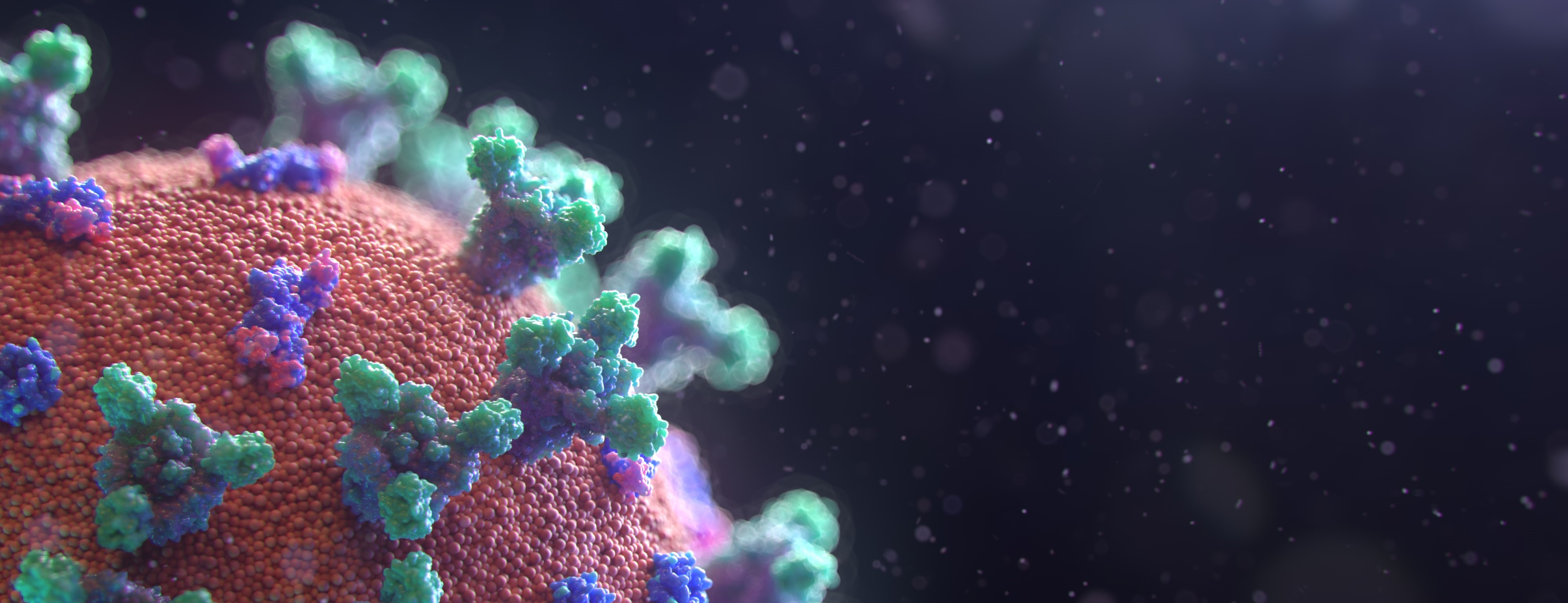 Coronavirus Covid-19 : Fermeture de la plupart des juridictions judicaires et administratives du ressort de Rouen